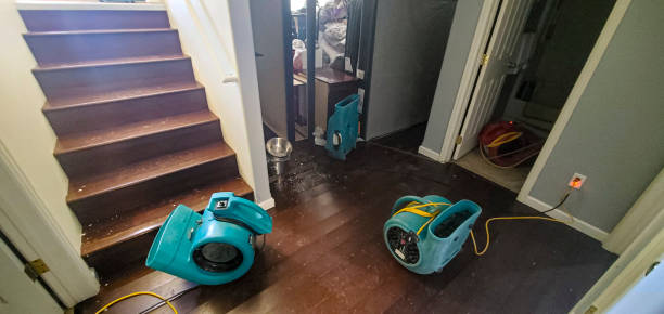 Best Residential water damage restoration  in Landrum, SC