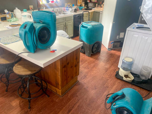 Best Flood damage cleanup  in Landrum, SC