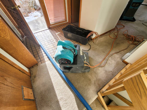 Best Basement water damage restoration  in Landrum, SC