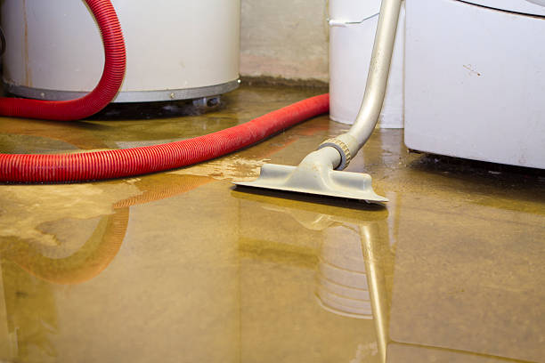 Best 24-hour water damage restoration  in Landrum, SC
