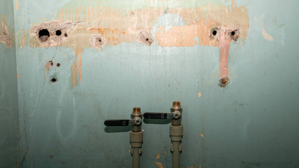 Best Local water damage restoration  in Landrum, SC