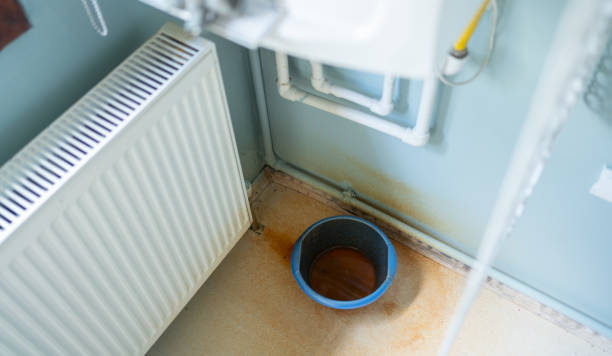Best Ceiling water damage repair  in Landrum, SC
