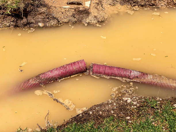 Best Water damage restoration process  in Landrum, SC